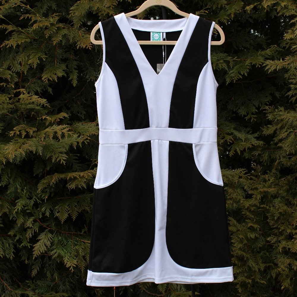 VFish Stylish V-Neck Colorblock Dress  NWT